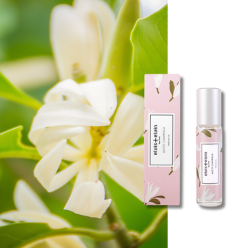White Champaca Perfume Oil - Skincare Lab