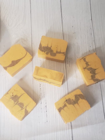 Pumpkin-Woodsy Vegan Soap Handmade Soap - Skincare Lab