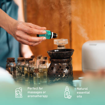 Aromatherapy Essentials Bundle with USB Diffuser, 3-Pack Oils, and Lavender Mist Spray - Skincare Lab