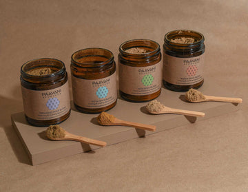 Spice Blend Stack | Dosha-Specific Digestive Churna Collection - Skincare Lab