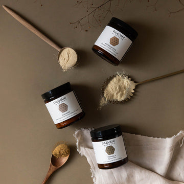 Ayurvedic Tonic Stack | Daily Herbal Support for Balance, Vitality & Digestion - Skincare Lab