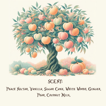 Ginger Peach Organic Body Lotion - Skincare Lab