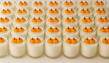 Autumn Ember Pumpkin Candle (16oz) - Skincare Lab